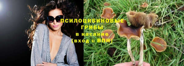 бутират Армянск